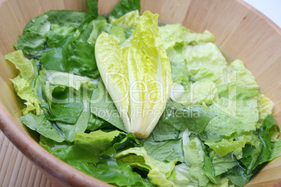 Römer Salat