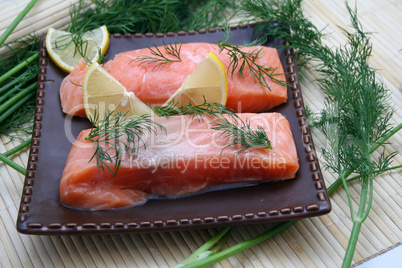 frischer lachs