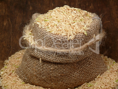Grundnahrungsmittel Reis