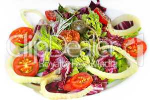 Fenchel Tomaten Salat