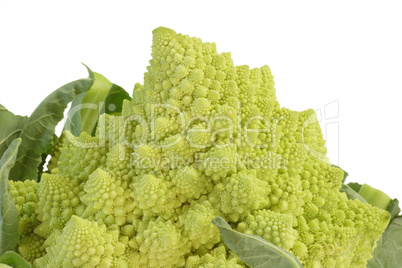 Romanesco