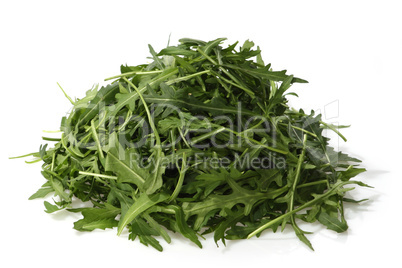 Rucola