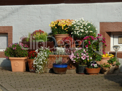 Blumen an einem Haus