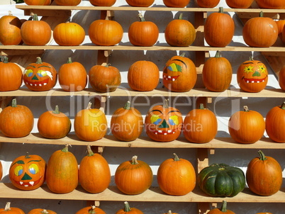 Kürbisse auf einem Markt