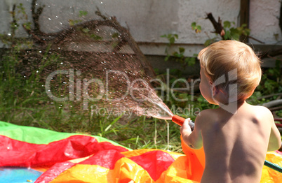 Sommer im Garten