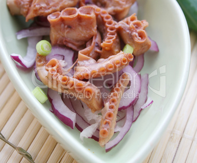 Octopus