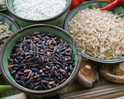 Chinesischer Reis