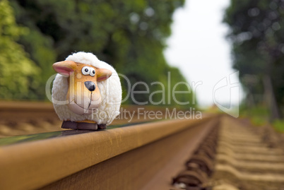 Schaf auf Schienen