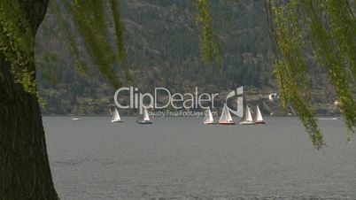 Sail boats on lake