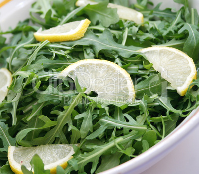 Rucola