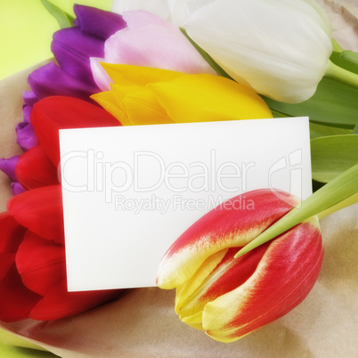 Visitenkarte mit Tulpen