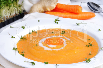 Möhren - Karotten - Suppe