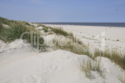 Sanddüne auf Baltrum