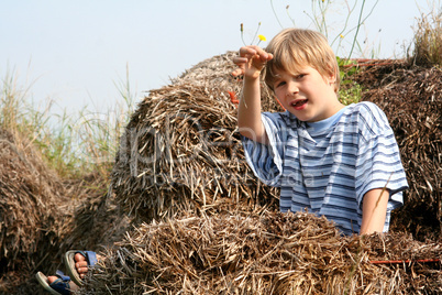 Auf dem Strohballen