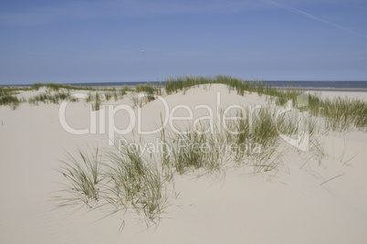 Sanddüne auf Baltrum