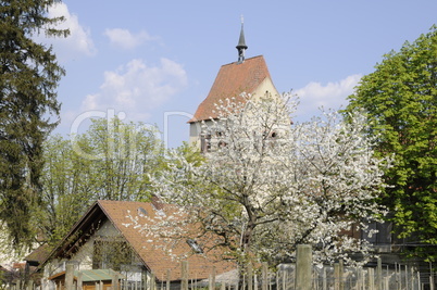 Klosterkirche in Mittelzell, Reichenau, Bodensee
