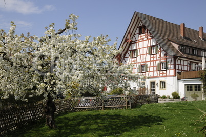 Garten an einem Fachwerkhaus in Allensbach