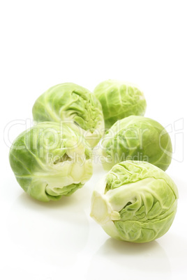 Rosenkohl Rosenkohl