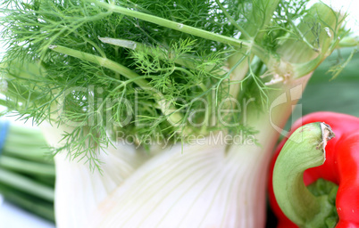 Fenchel und Paprika