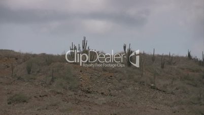 Zoom Grashalme auf einem Berg auf Berglandschaft