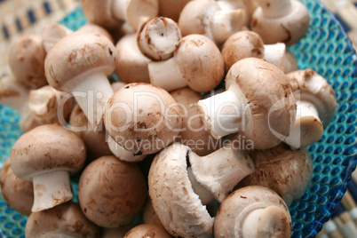 champignons