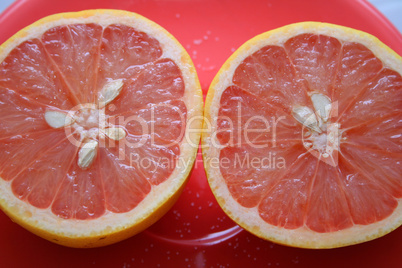 Pink Grapefruit