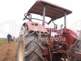 Traktor auf Kartoffelfeld