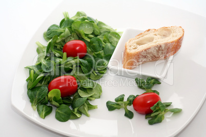 Feldsalat