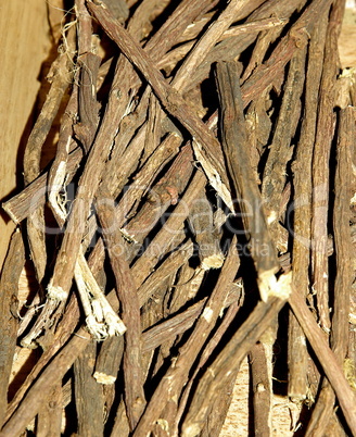 Süßholz Glycyrrhiza