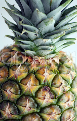 Ananas