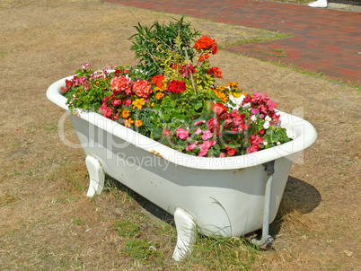 Badewanne mit Blumen