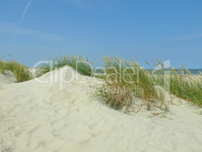 Sanddüne auf Baltrum