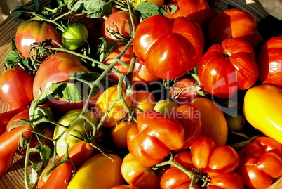 Tomatenkorb