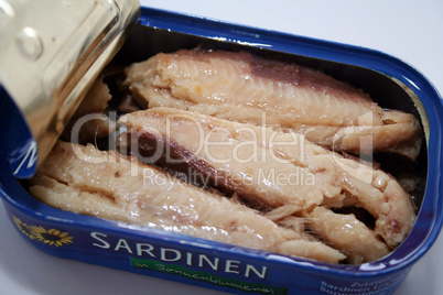 Sardinen