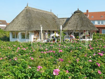 Haus auf Baltrum