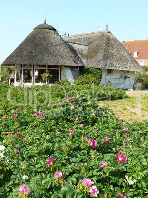 Haus auf Baltrum