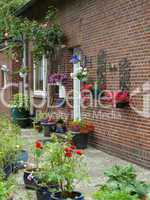 Blumen an einem Haus in Aurich