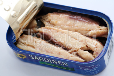 Sardinen