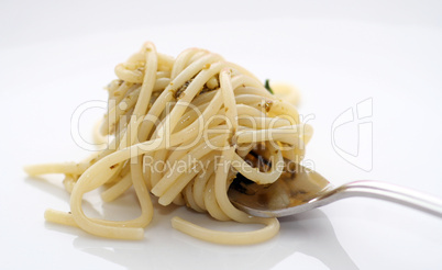 Spagetti mit Pesto