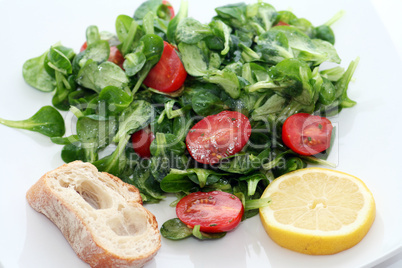 Feldsalat