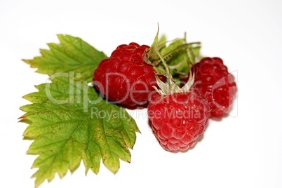 Himbeeren