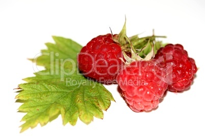 Himbeeren