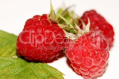 Himbeeren