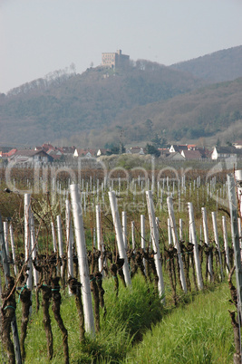 Hambacher Schloss