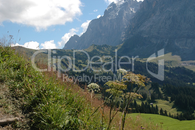 Landschaft am Eiger