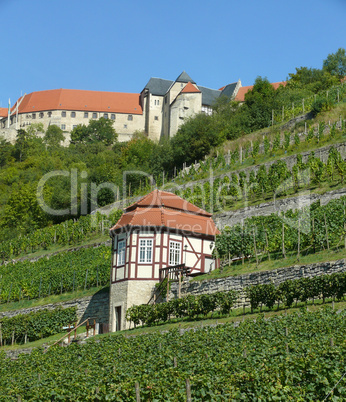 Schloss Neuenburg bei Freyburg