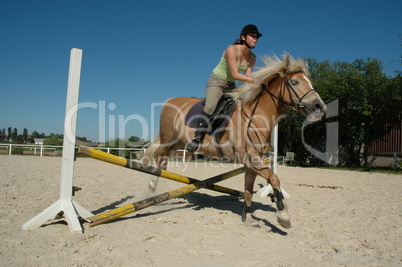 Mädchen auf Haflinger