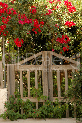 Gartentor auf Kreta