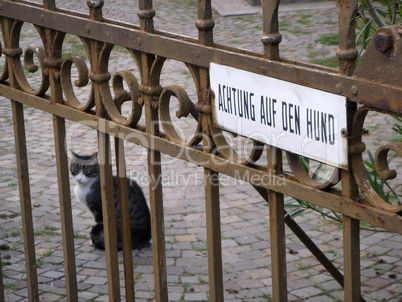 Achtung auf den Hund