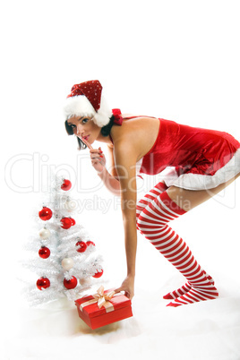 Weihnachtsfrau mit Baum 4